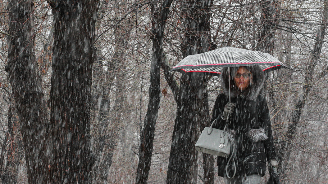    Bulkin Sergey/news.ru