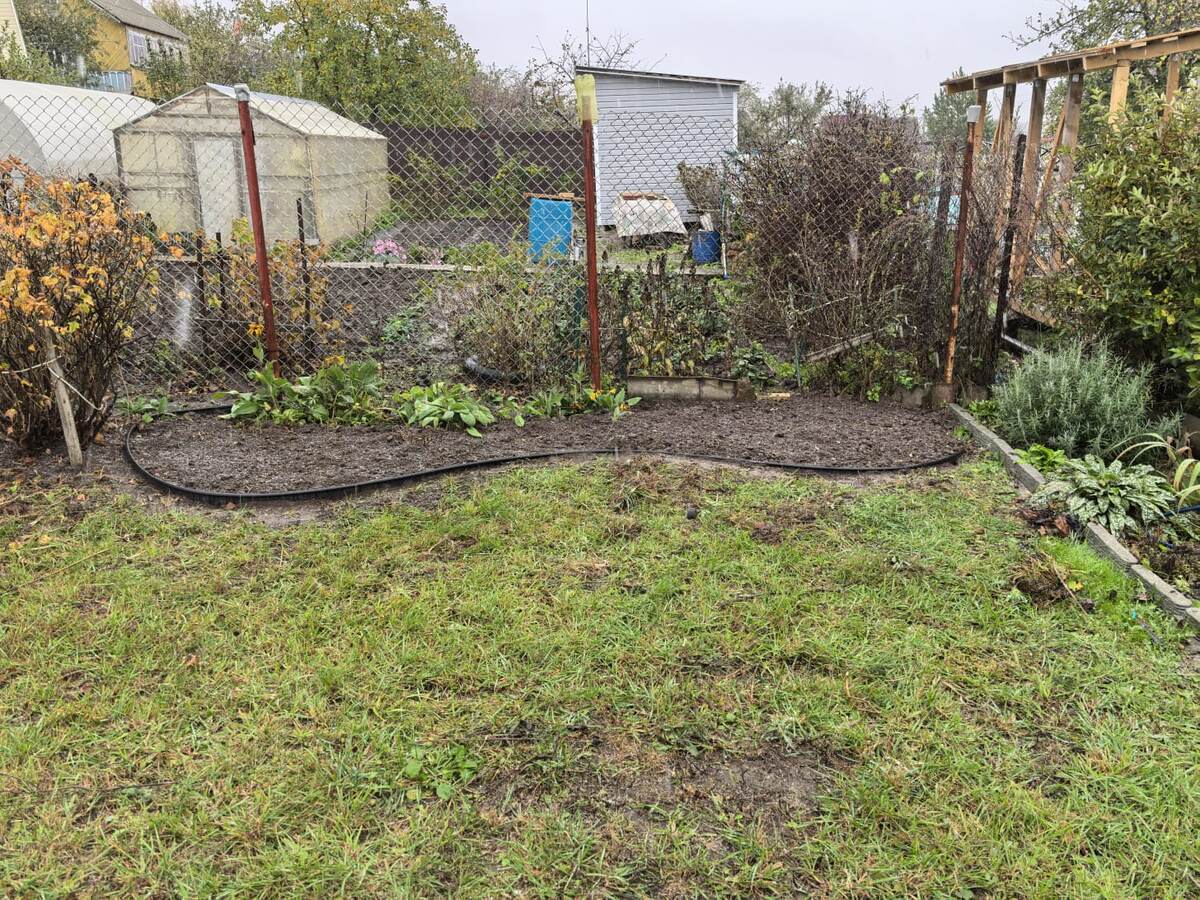 Клумба с тюльпанами. В доль рабицы чуть чуть рудбекии оставила. 