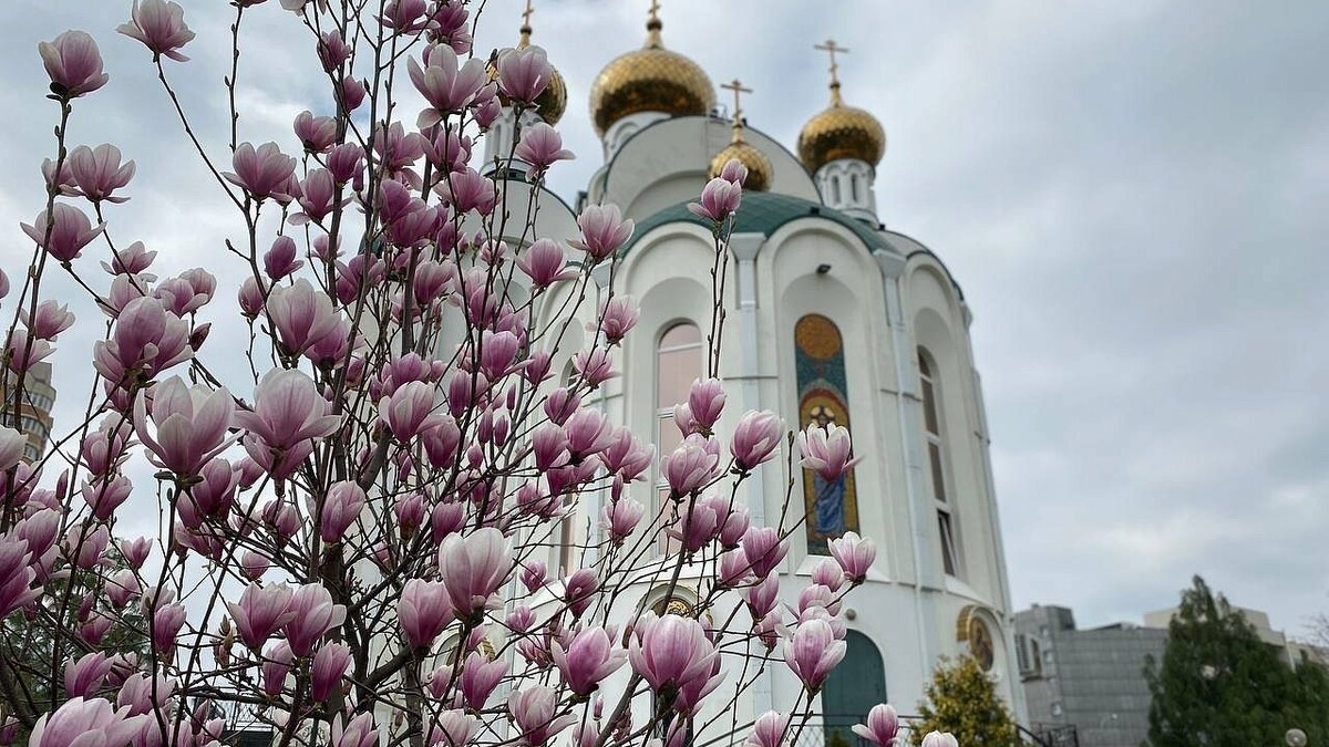    Фото: телеканал «Краснодар»