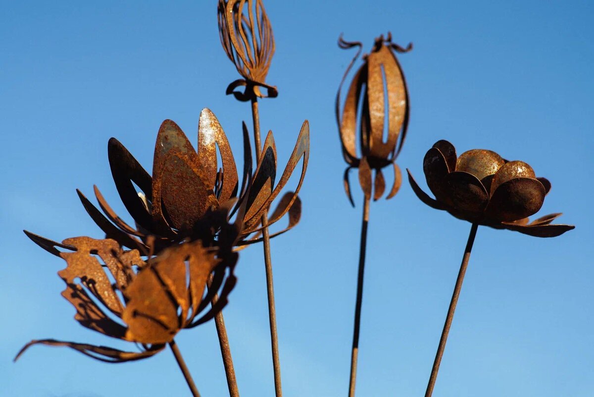 цветы, которые никогда не завянут