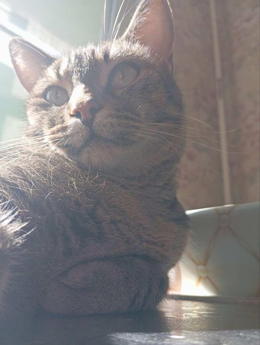 Это мой, спасеныш