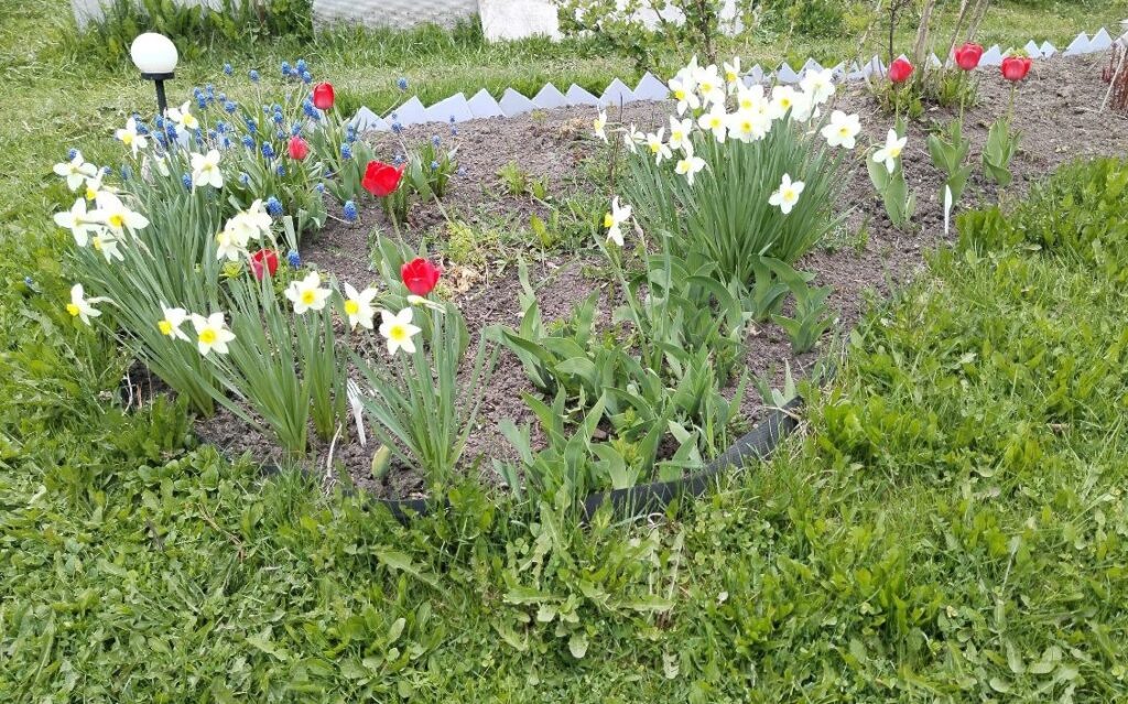    Фото: "В курсе.ру" / Полина Анкушина Алена Калашникова