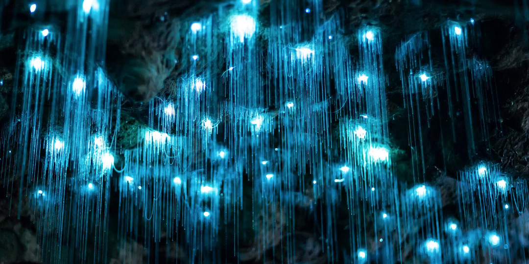 Это не кадры из "Аватара", а реальное место на Земле, созданное природой