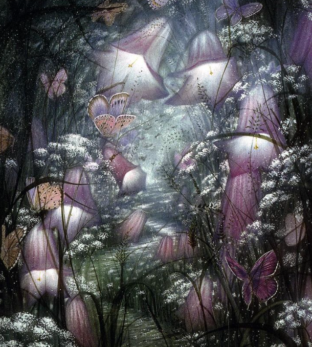 Полет бабочек