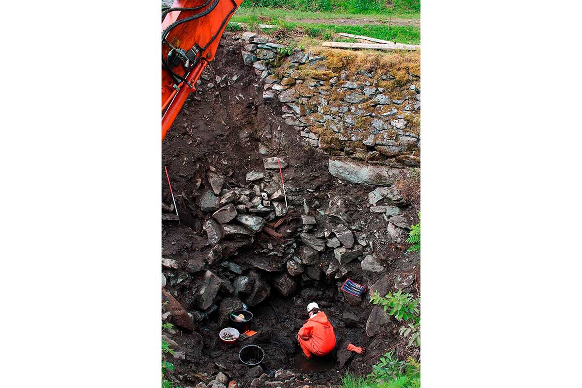 Норвежский технологический университет📷Вновь приступить к изучению скелета ученые смогли только в 2014 году