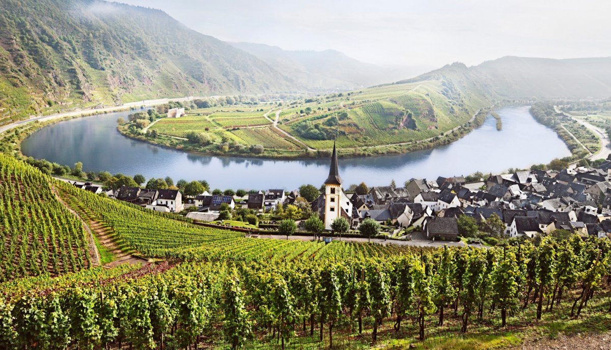 Террасные виноградники Мозеля (фото из открытых источников)