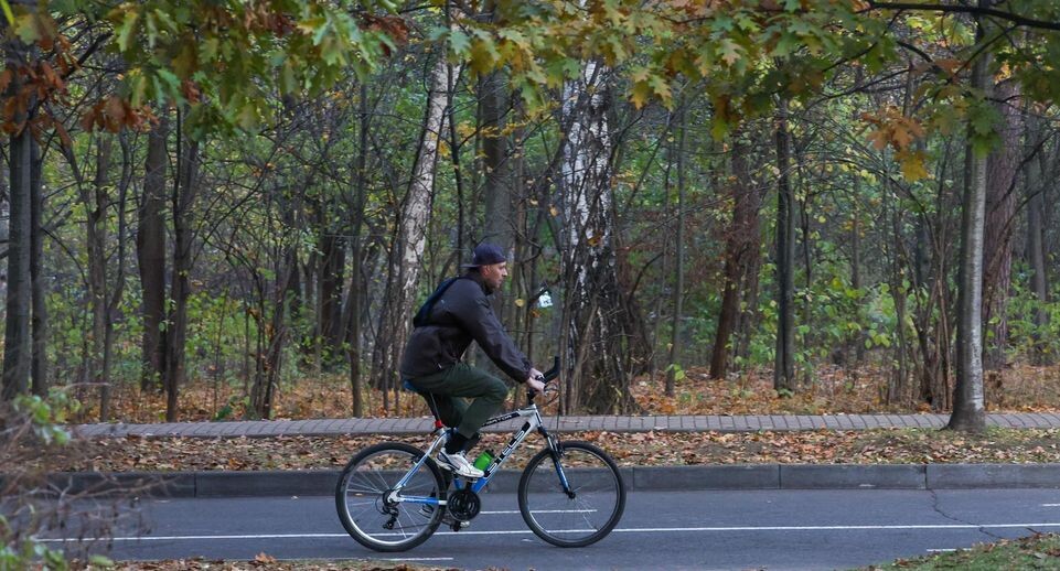    Shatokhina Natalia/news.ru / Global Look Press