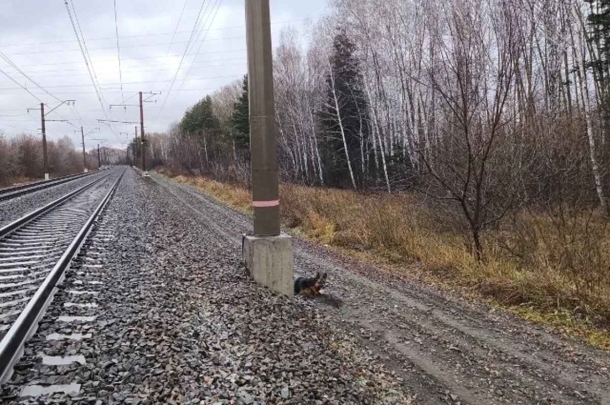    Следователи возбудили уголовное дело о причинении тяжкого вреда здоровью по неосторожности.