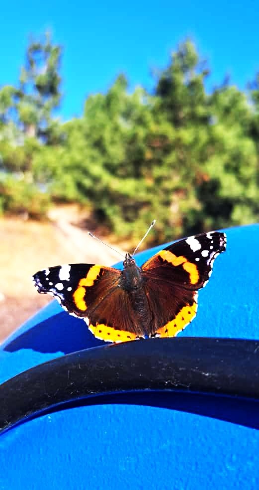 Она еще не знает, что скоро зима