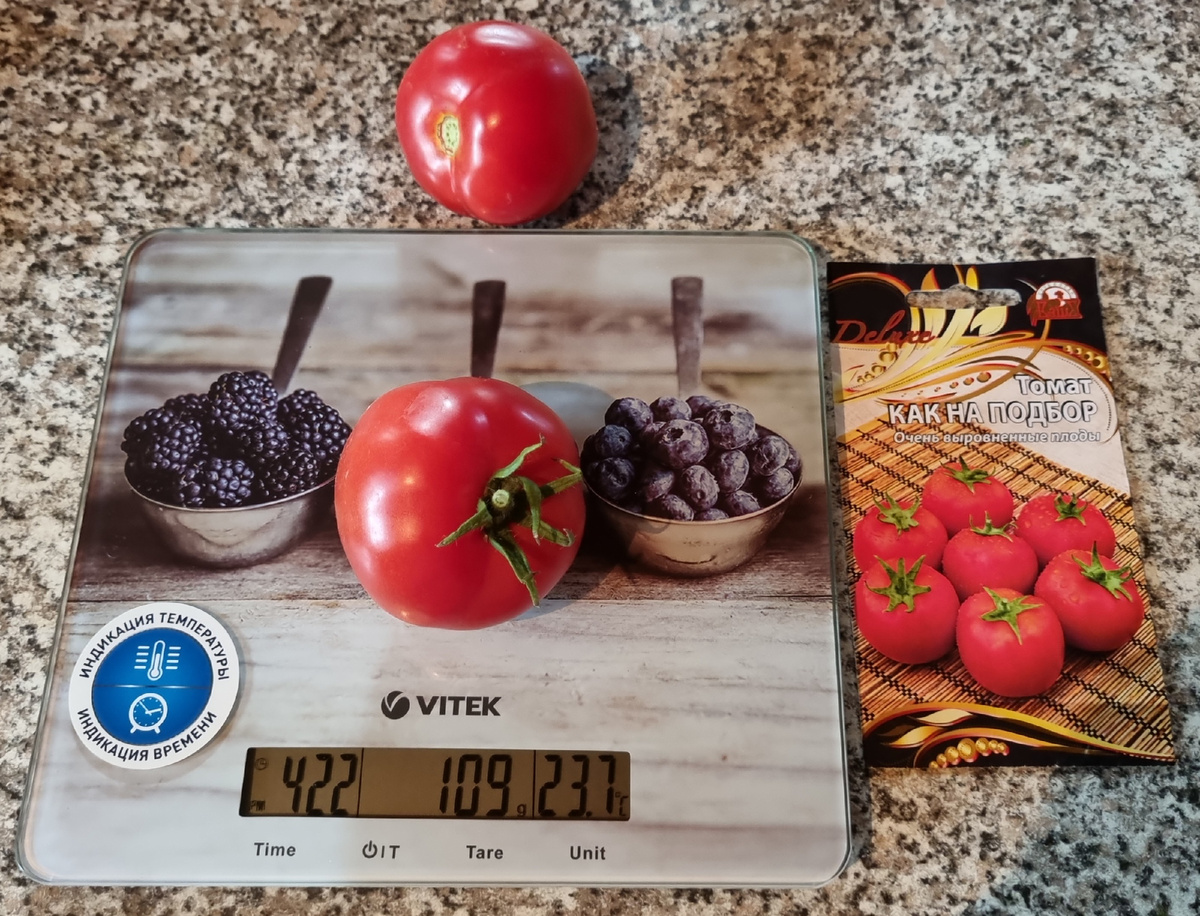 Фото автора.