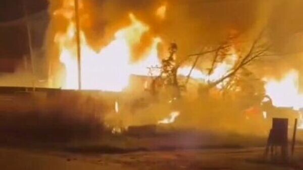    © Фото : скриншот видео из соцсетей