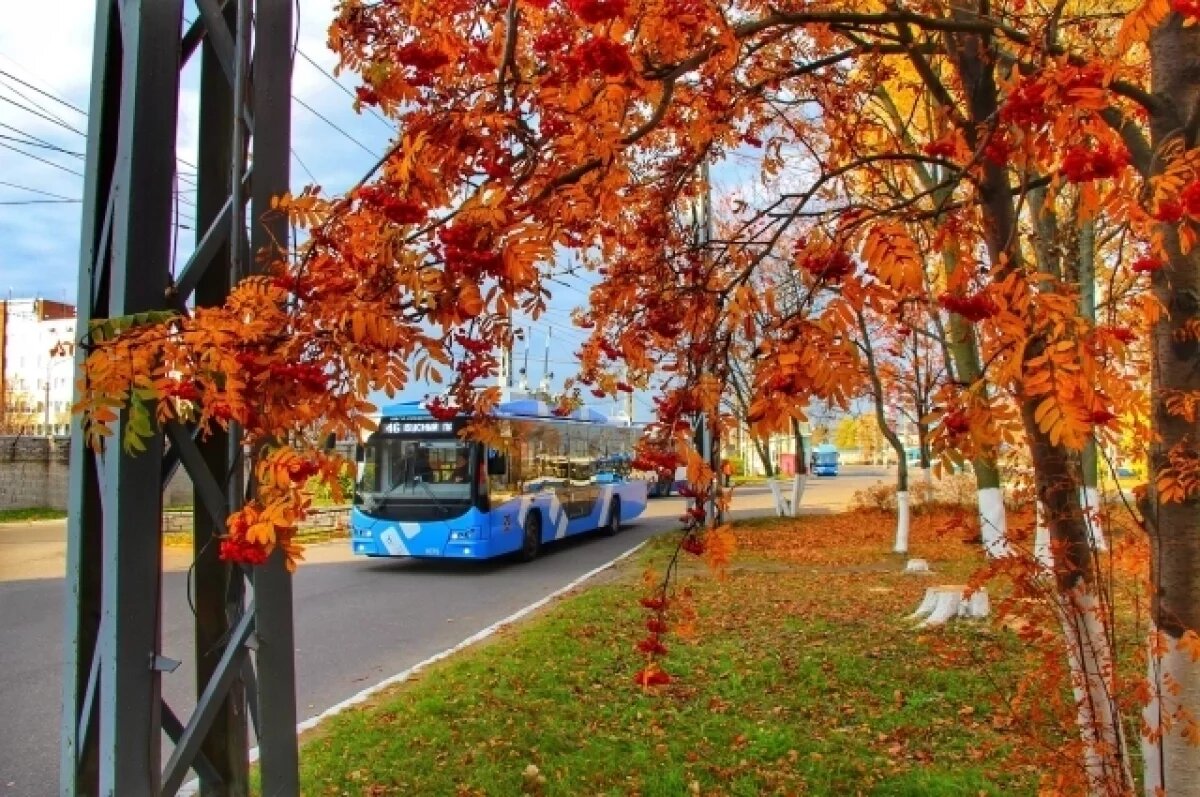    Синоптики рассказали петербуржцам, чего ждать от погоды в ближайшие дни