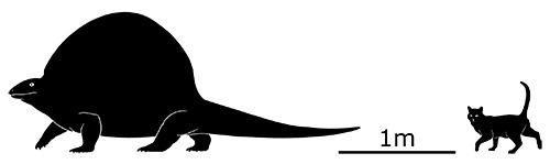 Люпеозавр по сравнению с котом.