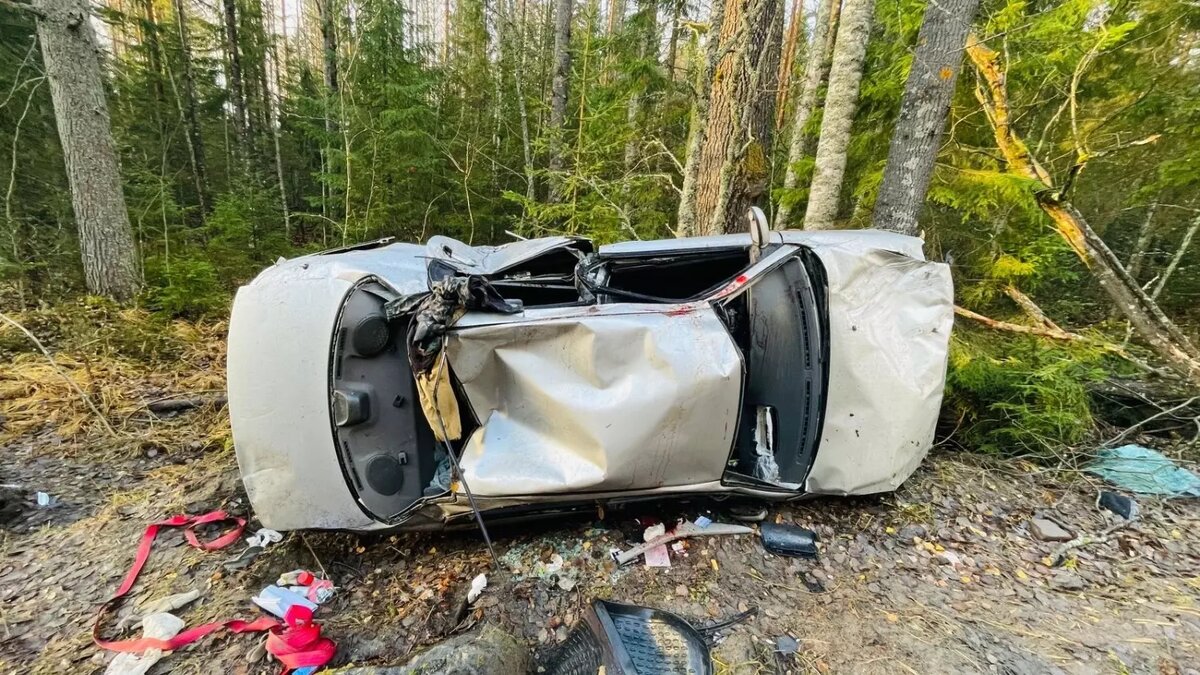     Источник: Госавтоинспекция Карелии / vk