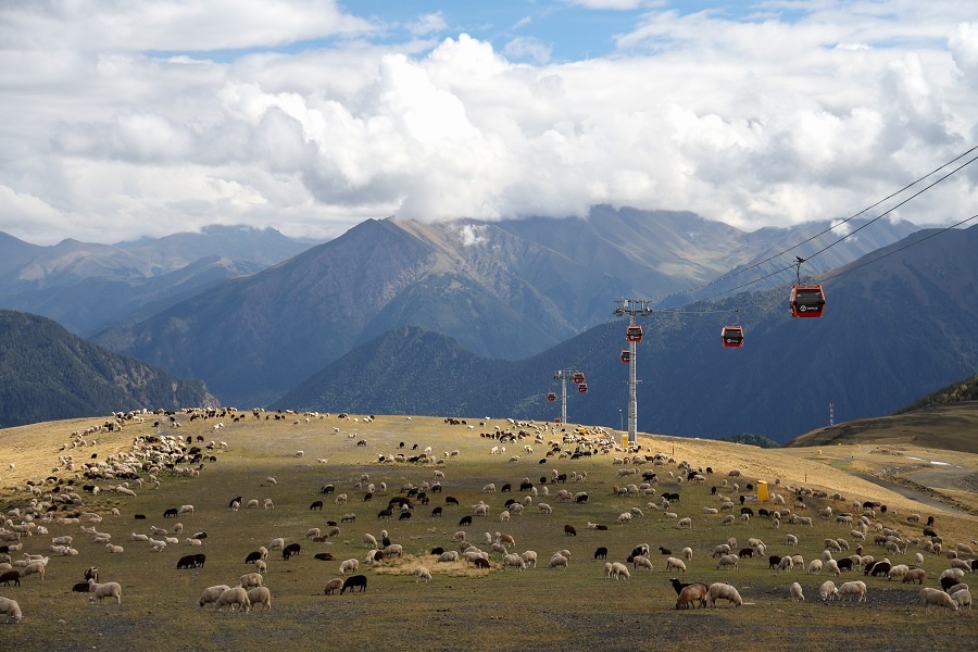 Фото: Михаил Синицын/ТАСС