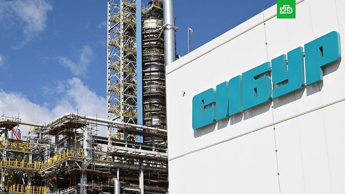    Фото: РИА Новости © 2024, Максим Богодвид