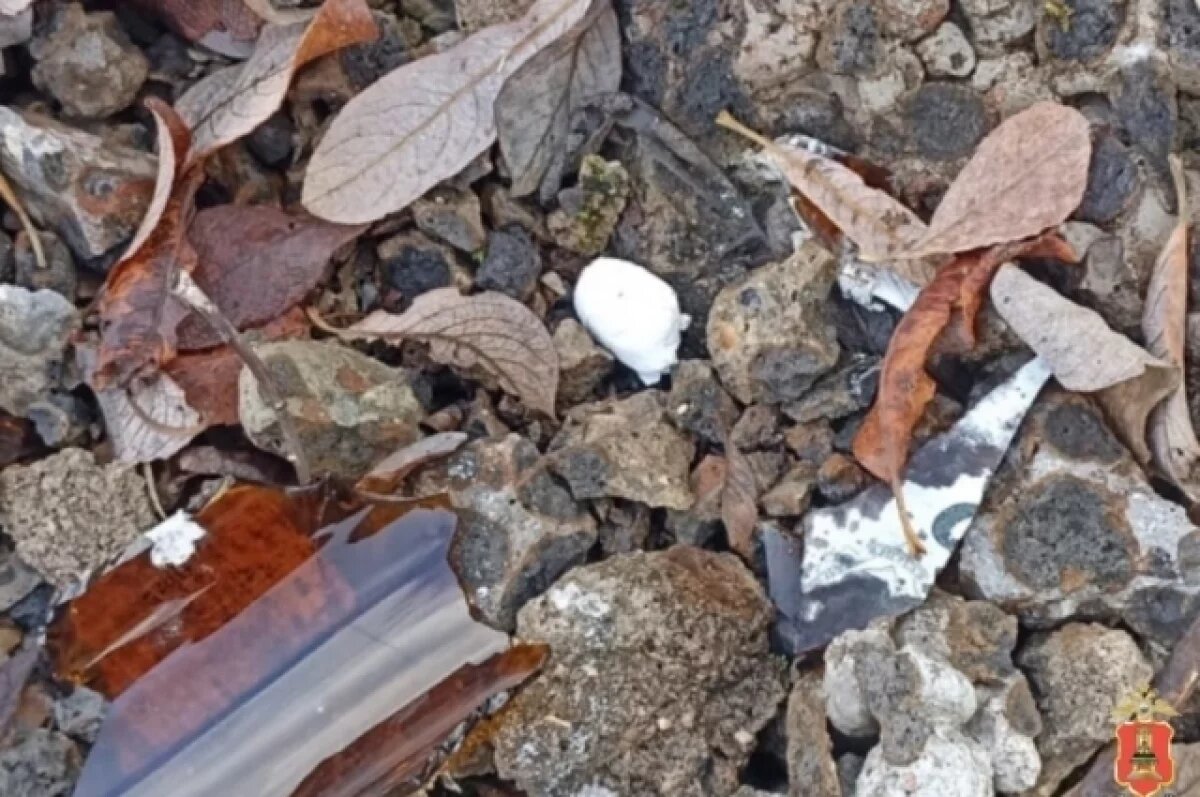    На одной из улиц Вышнего Волочка задержали 29-летнего мужчину с наркотиками