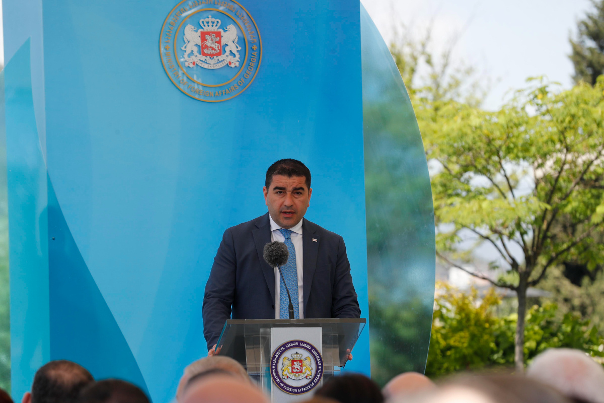 Спикер парламента Грузии Шалфа Папуашвили обвинил президента страны в организации беспорядков. Фото: Giorgi Abdaladze/Wikimedia/CC BY-SA 4.0