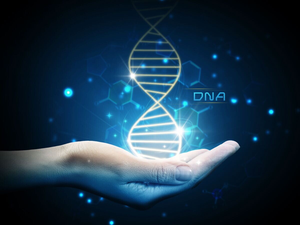    Молекула ДНК на ладони© Depositphotos.com / efks