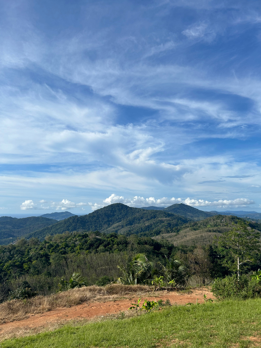 Вид с парковки у храма большого Будды 