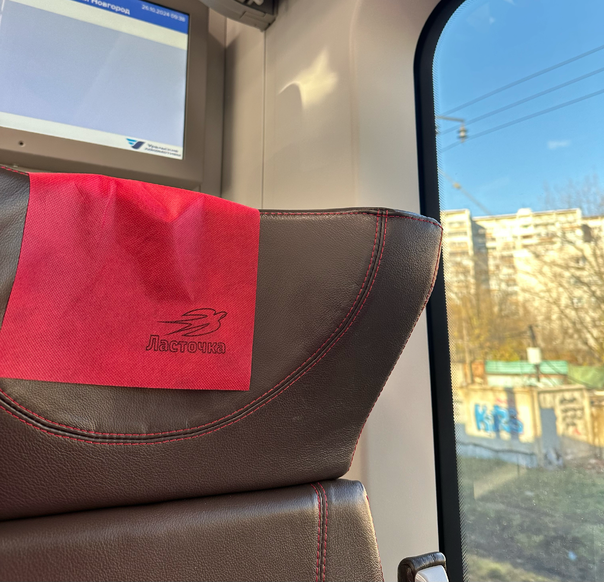 Фото от автора. #lizarty