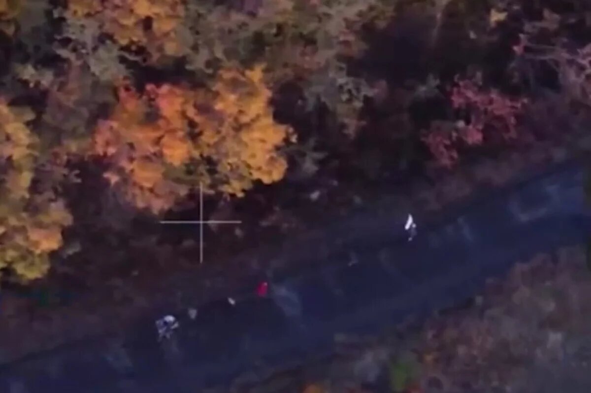    Люди шли с белыми флагами.