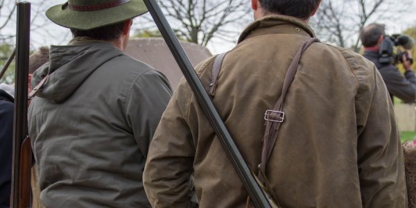    Фото jackmac34, pixabay.com