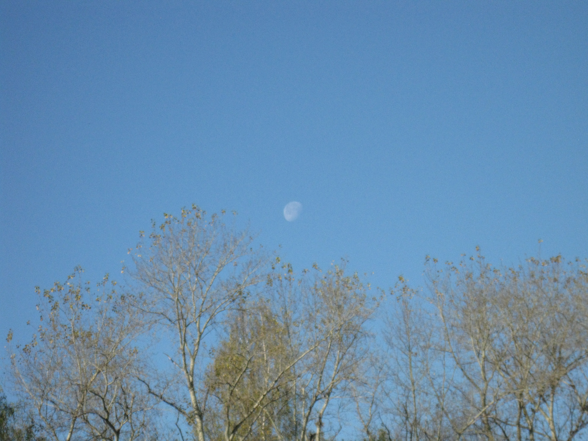 Фото автора. И луна стареет, уходя вместе с осенью. Новолуние уже предполагает смену погоды. Наступает сезон холодов.