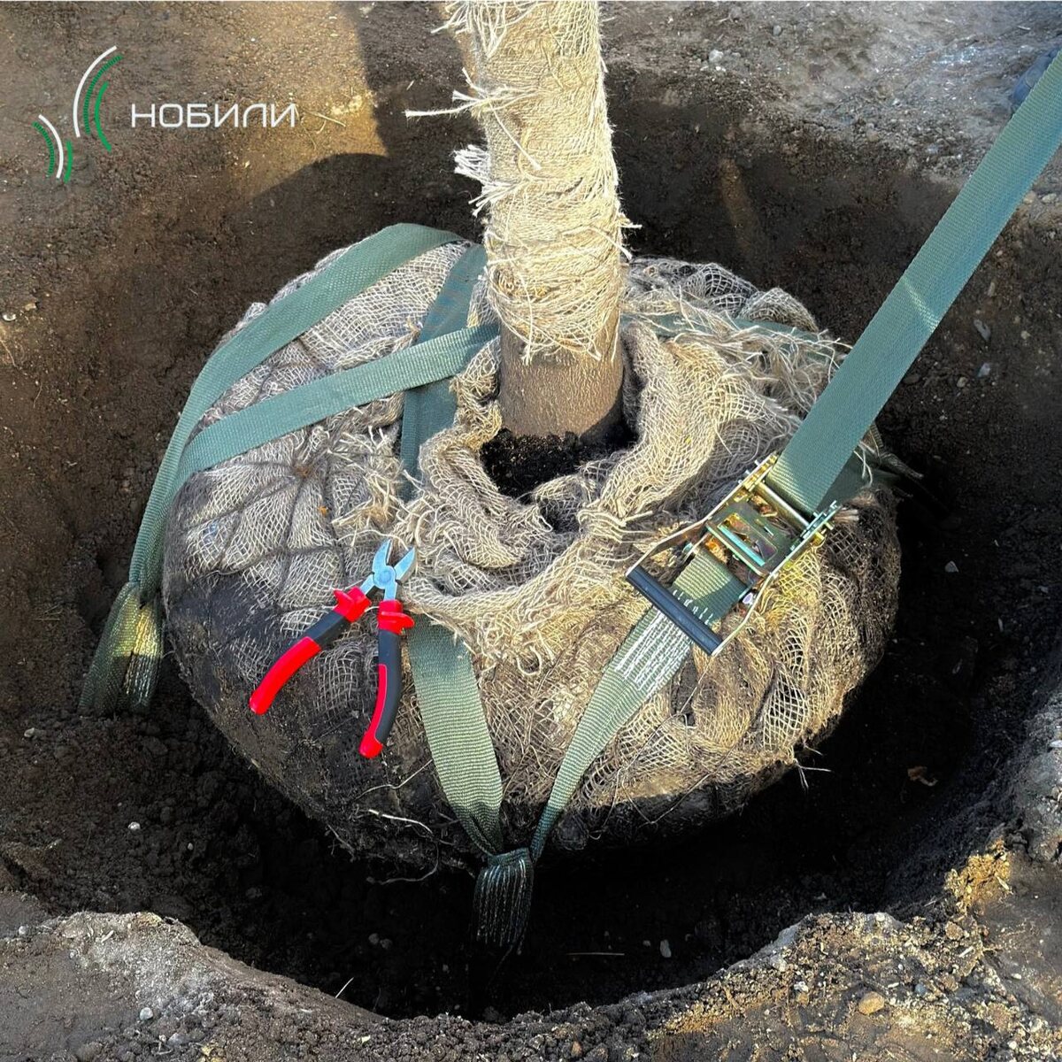 Фото из архива компании "Нобили"