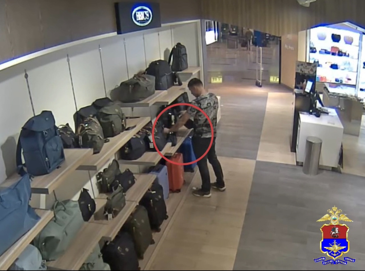    Фото: пресс-служба ЛО МВД России в аэропорту Внуково