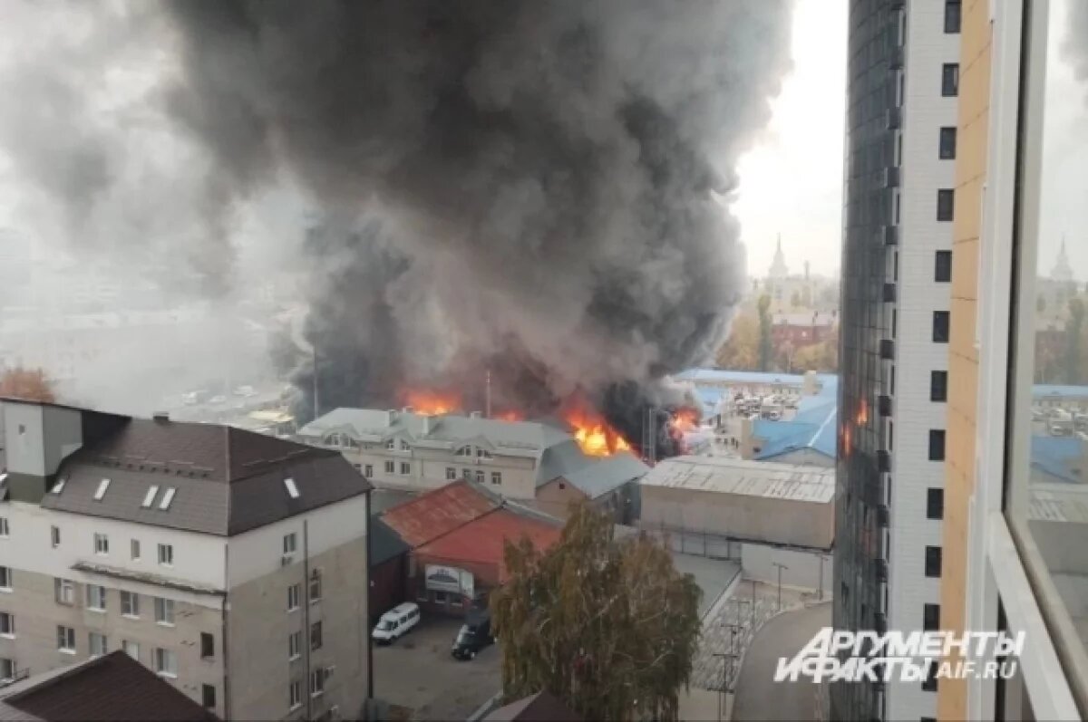    Из-за дыма не видно неба.