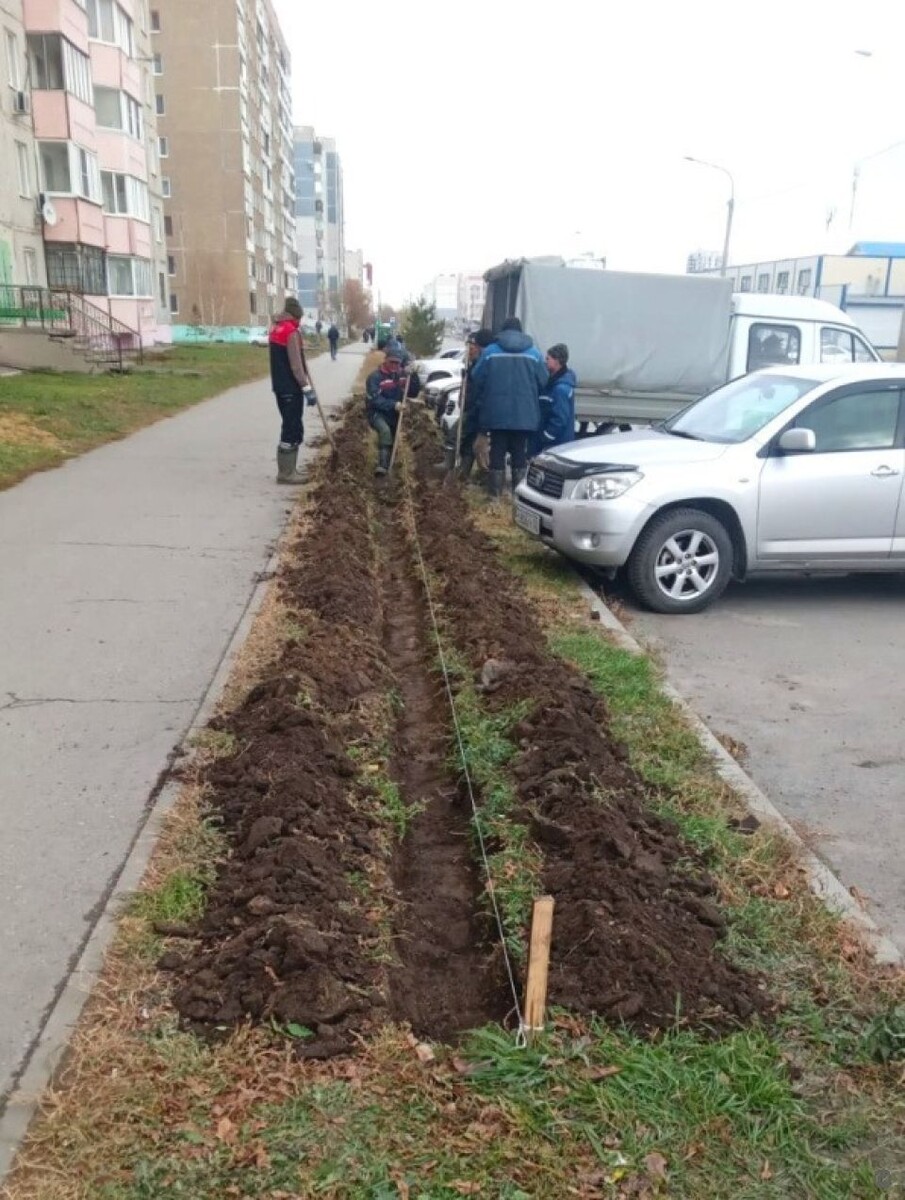    Озеленение Барнаула. Источник: barnaul.org