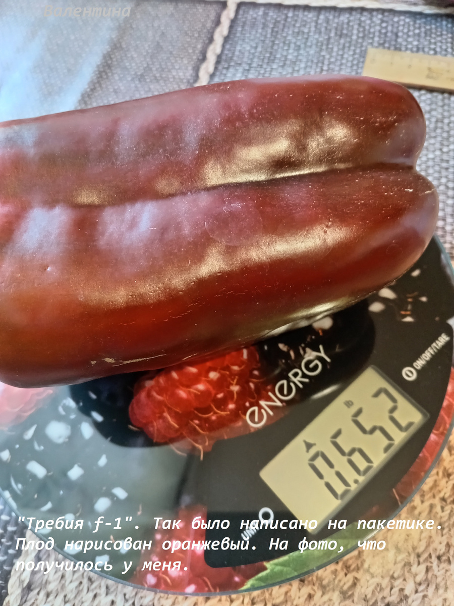 "Требия F-1". Гибридный сор сладкого перца. В описании -  "солнечный".