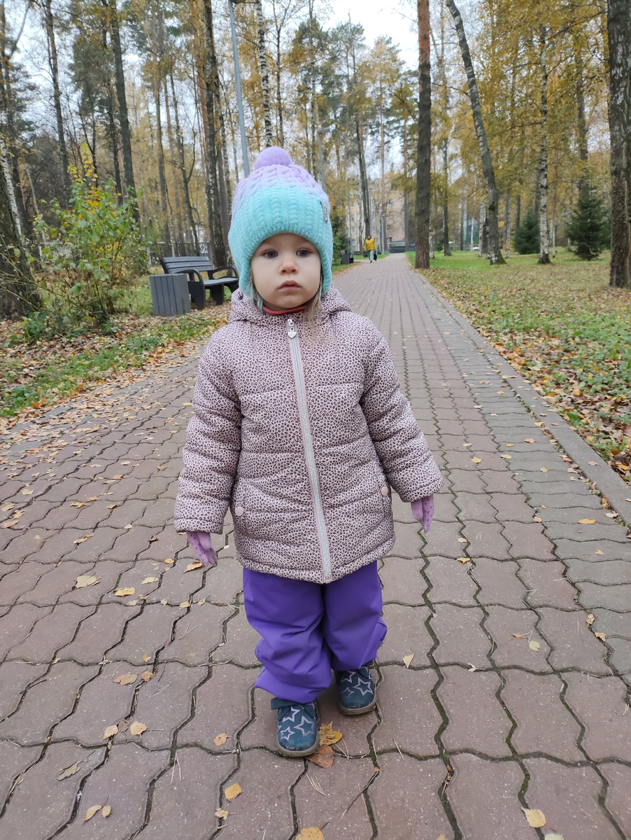 Листья ещё не всё облетели