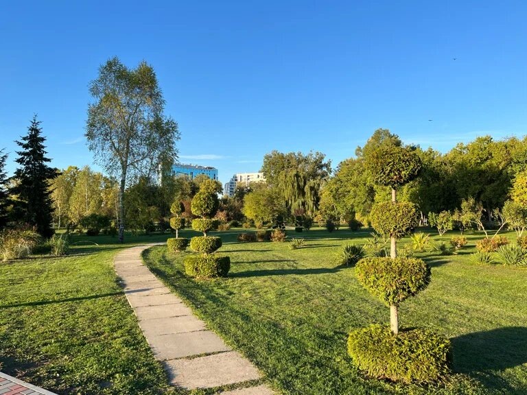 Посещать Дендрологический парк лучше летом. В тёплую погоду приятно гулять среди цветущих растений, кормить белок, рыб в пруду и птиц. Местные жители приходят сюда позаниматься йогой, на утренние пробежки и семейные пикники. Фото: Артем К. / Яндекс Карты