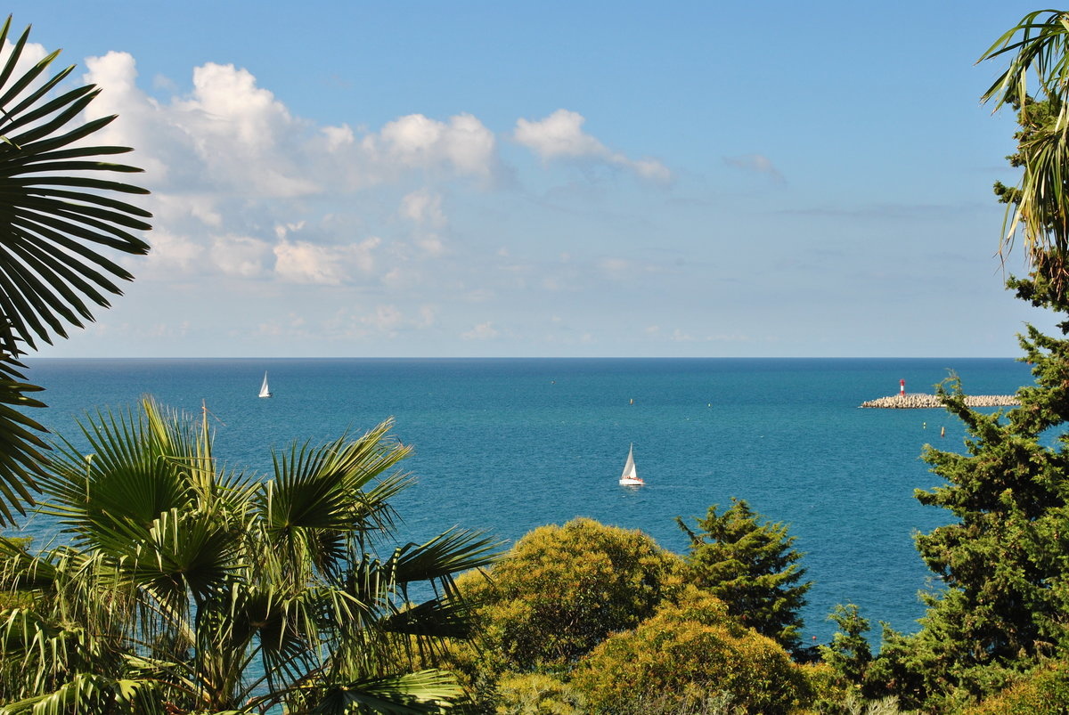 Яндекс. Картинки