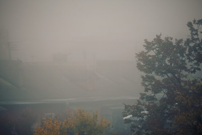    Фото: Юрий Гречко / Югополис