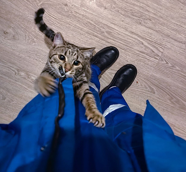 Тверская скорая подсчитала, сколько раз выезжала на вызовы и по какому поводу