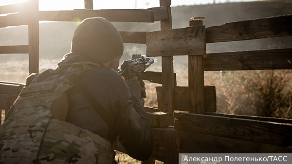     Фото: Александр Полегенько/ТАСС   
 Текст: Вера Басилая