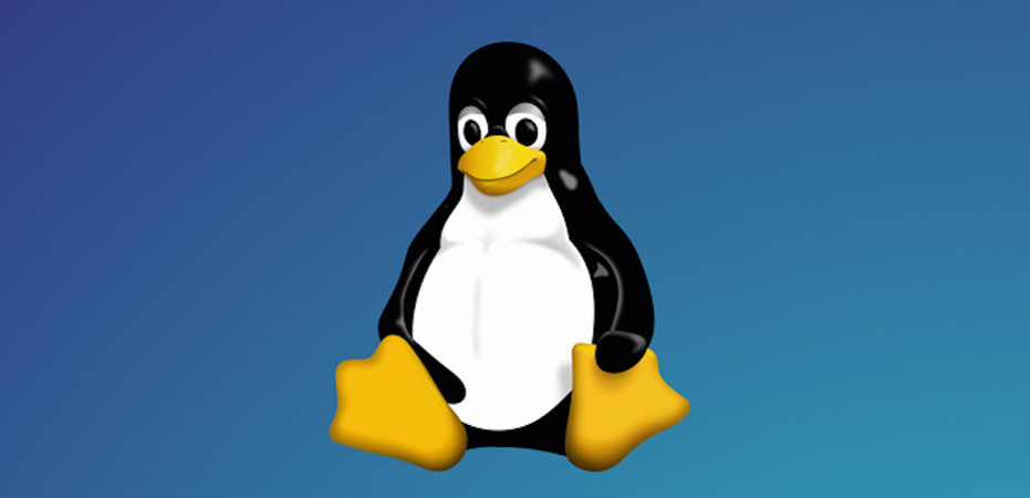    Linux