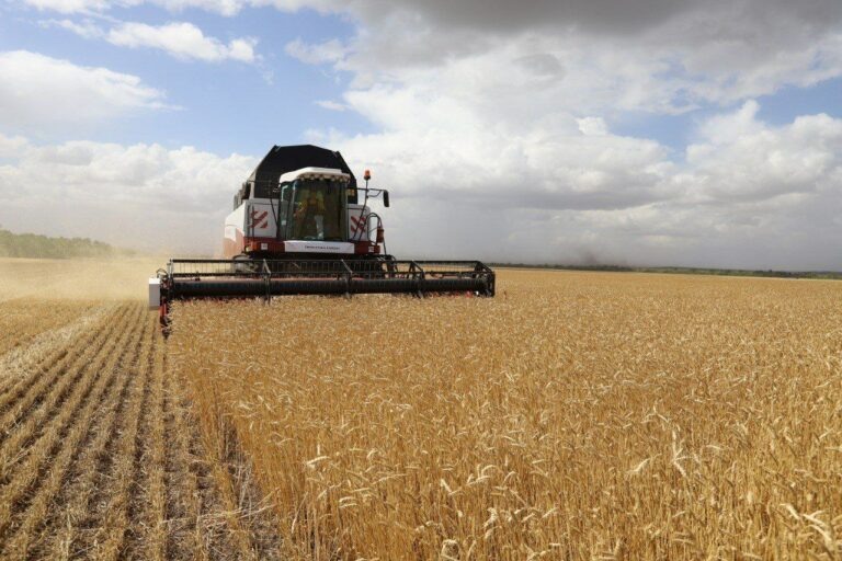    Денис Паслер: Оренбуржцы намолотили более 4 млн тонн зерновых Кристина Просвиркина