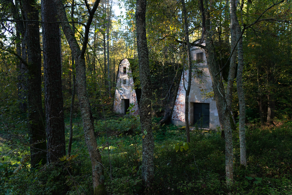 Овальные погреба в Мичуринском