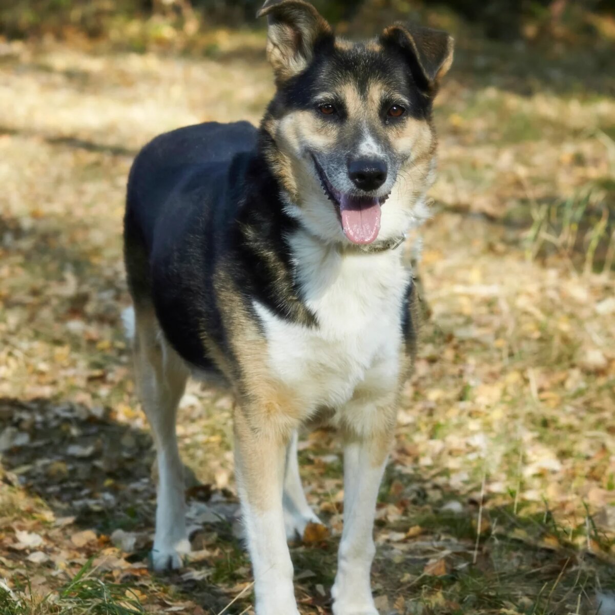 Красотка ведь) 