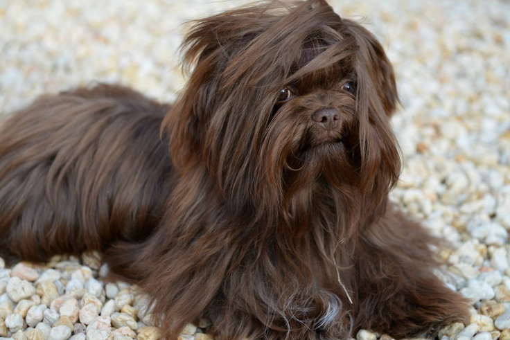 Фото взято из свободного доступа сети Интернет https://i.pinimg.com/736x/3c/58/60/3c5860fc3e3e9d0ec354a0826ffc60cc.jpg