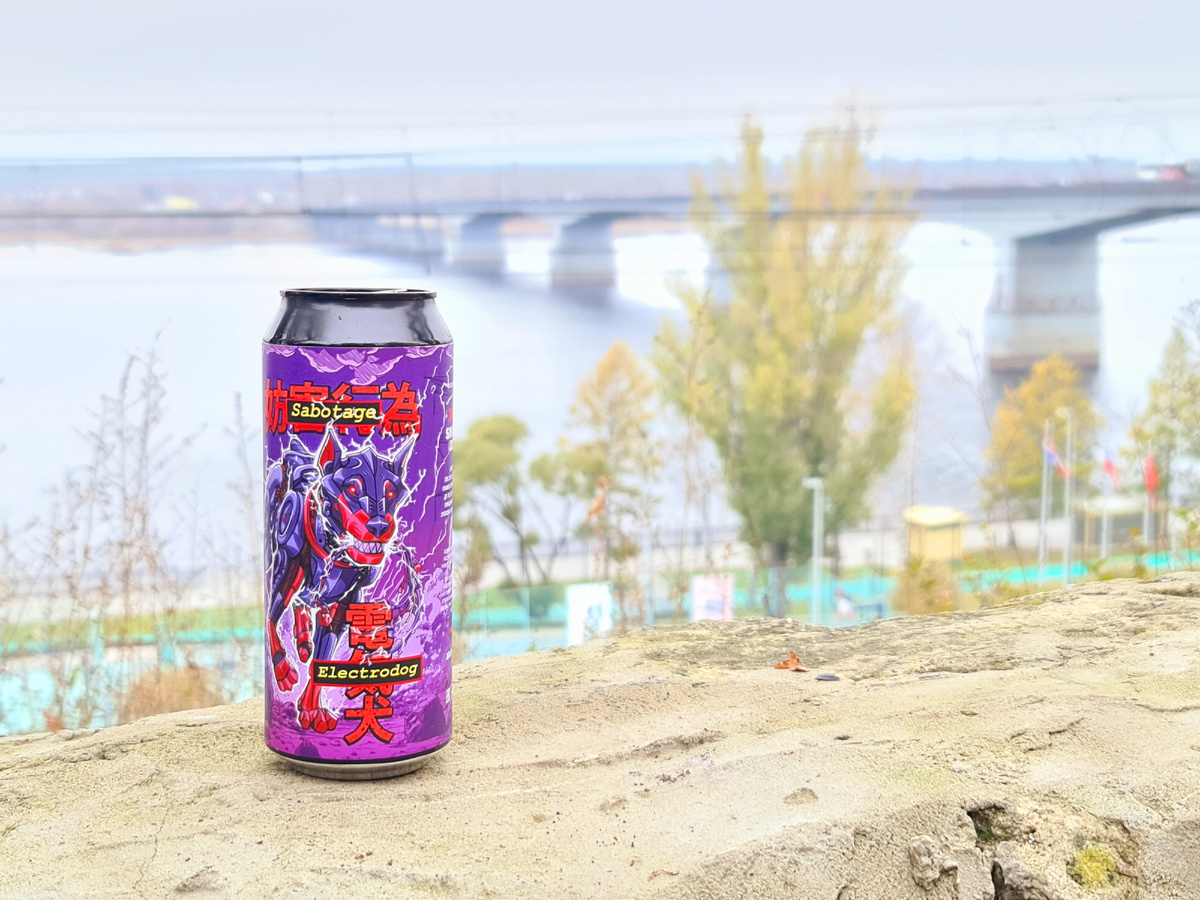 Electrodog, фото автора