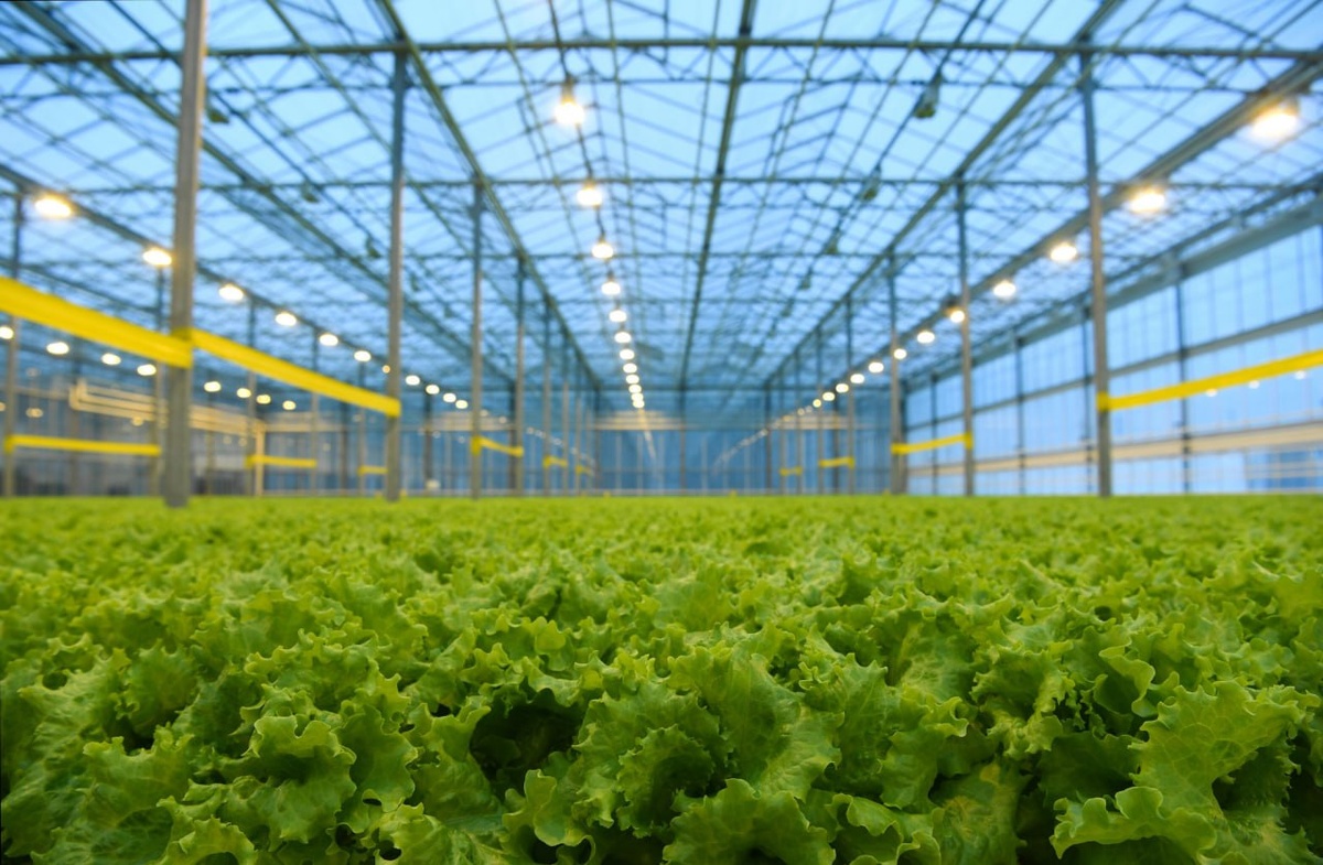 © РИА Новости