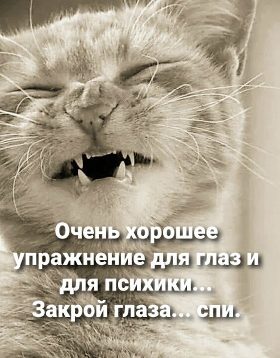 Не лети так жизнь так суетливо. Не лети так жизнь так суетливо