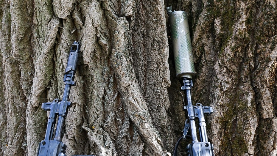    Автор фото: Александр Полегенько/ТАСС