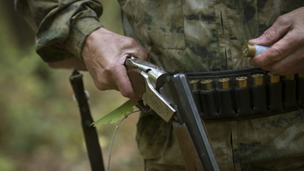    Фото: Nikolay Gyngazov/Globallookpress