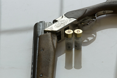    Фото: Nikolay Gyngazov/Globallookpress